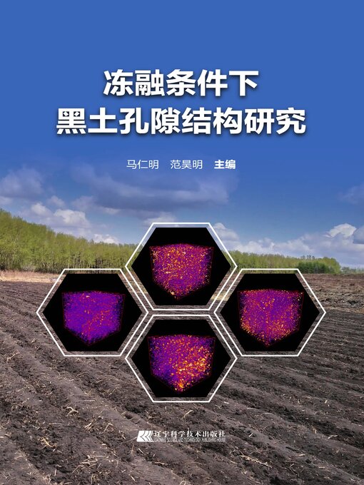 Title details for 冻融条件下黑土孔隙结构研究 by 马仁明 - Available